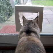 Install my cat flap