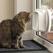 Cat Flaps fitted